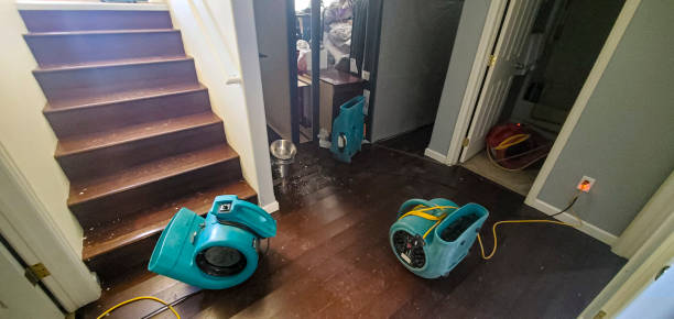 Best Mold removal after water damage  in Rock Springs, WY