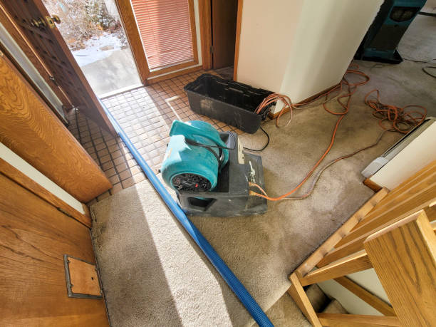  Rock Springs, WY Water damage restoration Pros
