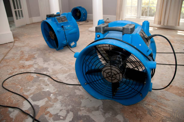 Best Carpet water damage restoration  in Rock Springs, WY